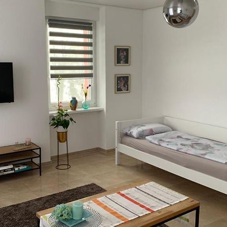 Grenznahe Ferienwohnung Mit 4 Schlafzimmern Grenzach-Wyhlen Exteriér fotografie