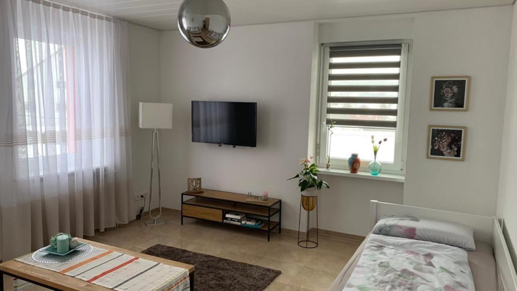 Grenznahe Ferienwohnung Mit 4 Schlafzimmern Grenzach-Wyhlen Exteriér fotografie