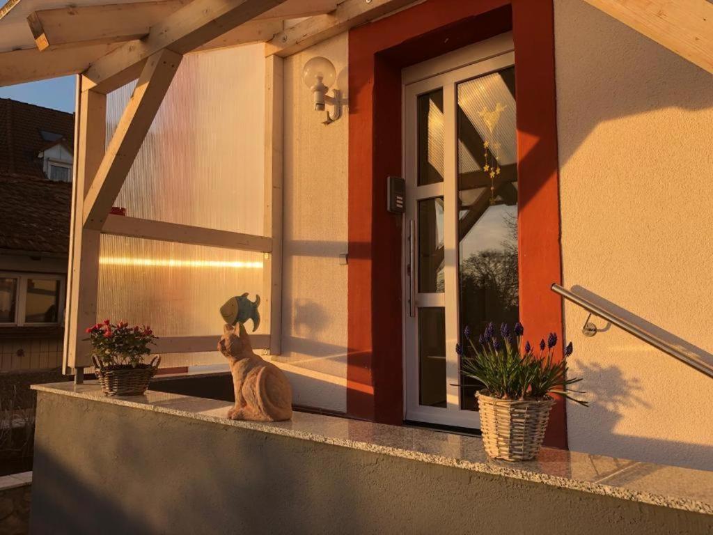 Grenznahe Ferienwohnung Mit 4 Schlafzimmern Grenzach-Wyhlen Exteriér fotografie