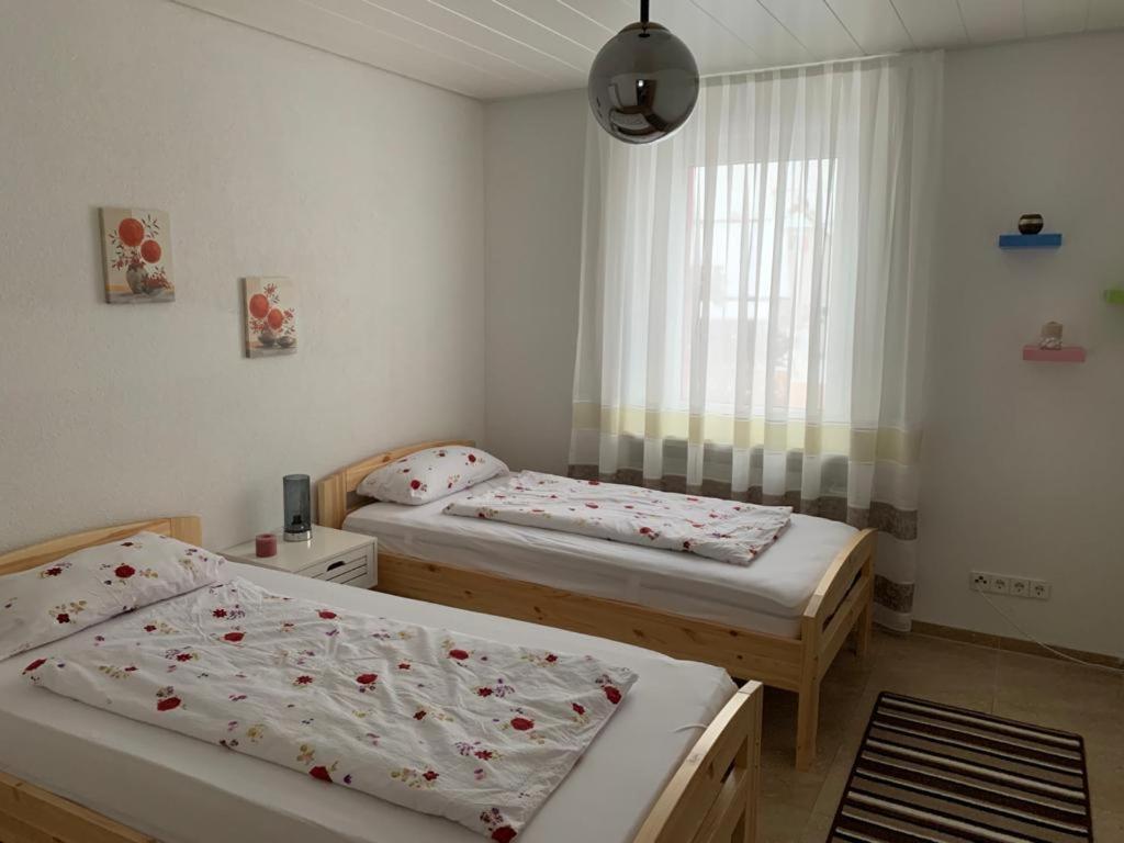 Grenznahe Ferienwohnung Mit 4 Schlafzimmern Grenzach-Wyhlen Exteriér fotografie